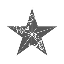 Christmas Star Single Stamp (online promo)